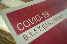 B.1.1.7 COVID Variant
