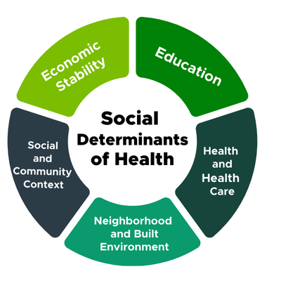 a circle graph with "Social Determinants of Health" in the middle and 5 smaller pieces surrounding it